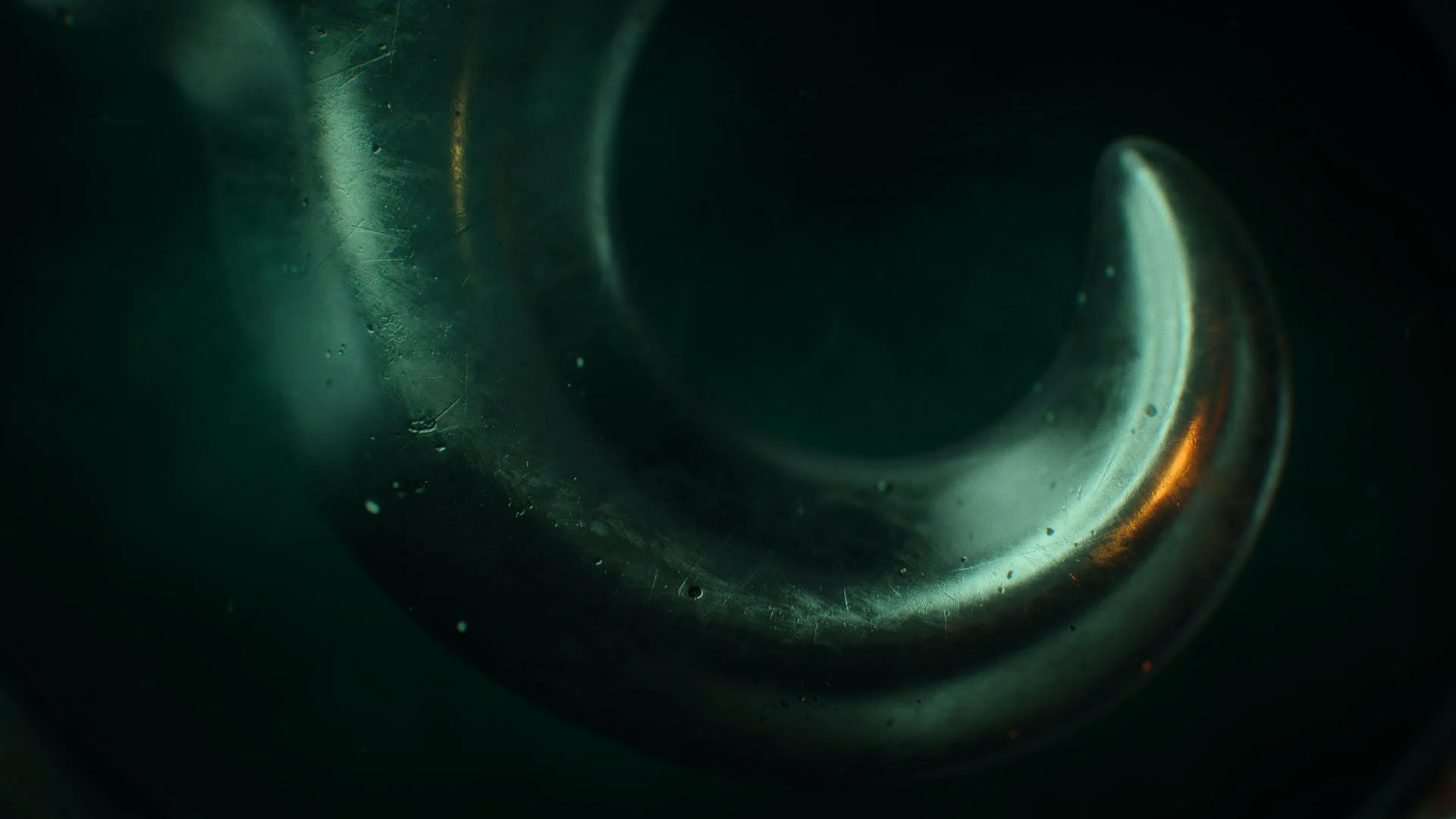 Vikings__0004_Layer 1